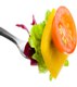 Nutrition and Dietetics Program, fork with lettuce, yellow bell pepper and cherry tomato on it